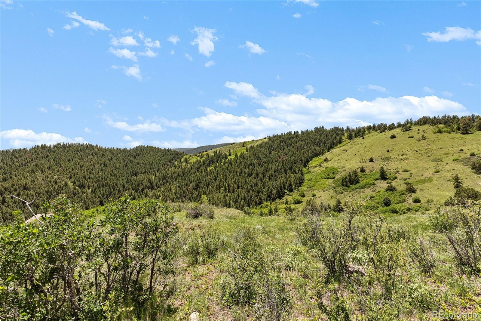 8529 S Deer Creek Canyon Road Morrison CO 80127