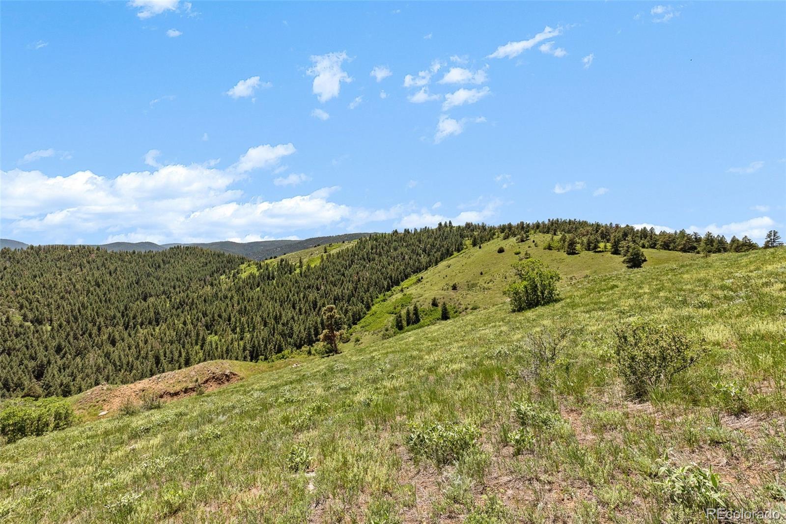 8529 S Deer Creek Canyon Road Morrison CO 80127