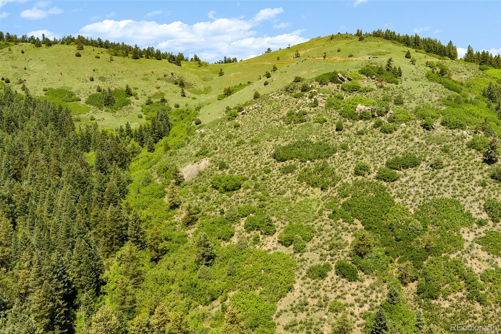 8529 S Deer Creek Canyon Road Morrison CO 80127