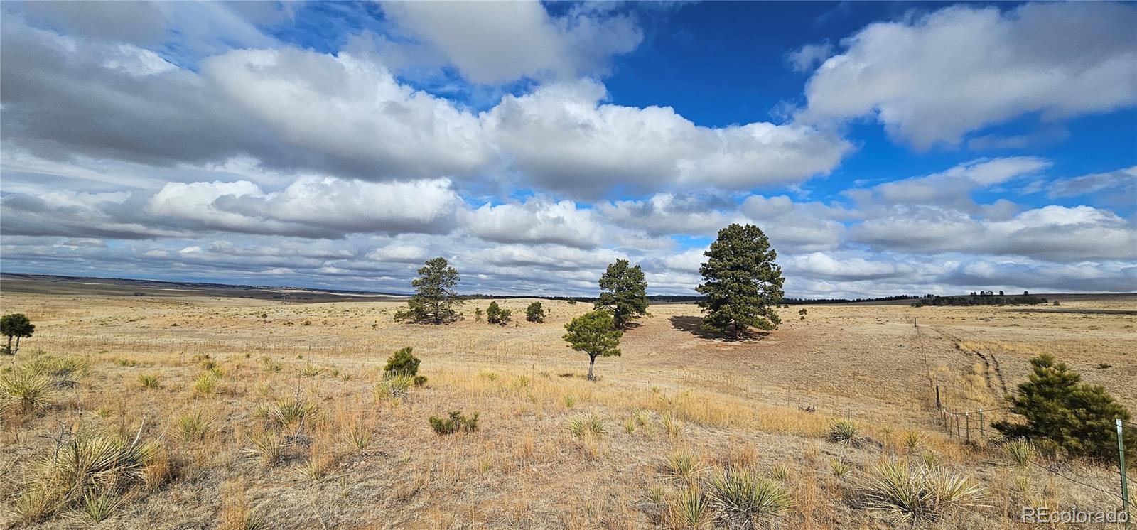 23895 County Road 144 Agate CO 80101