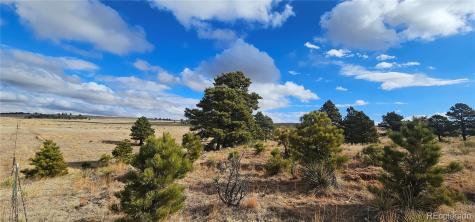 23895 County Road 144 Agate CO 80101