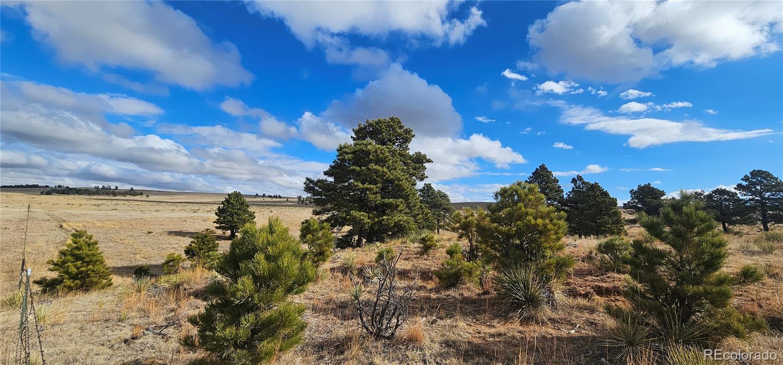 23895 County Road 144 Agate CO 80101