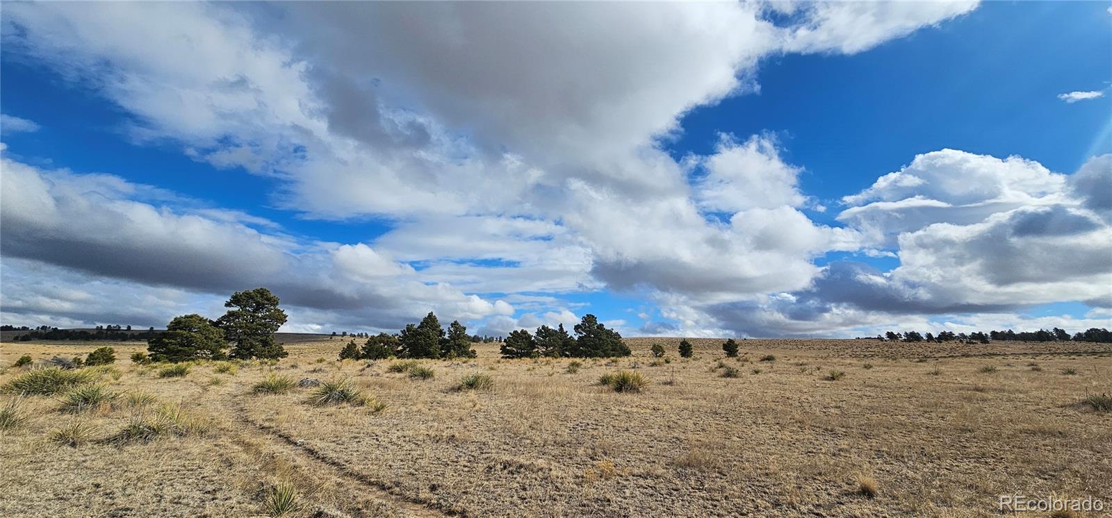 23895 County Road 144 Agate CO 80101