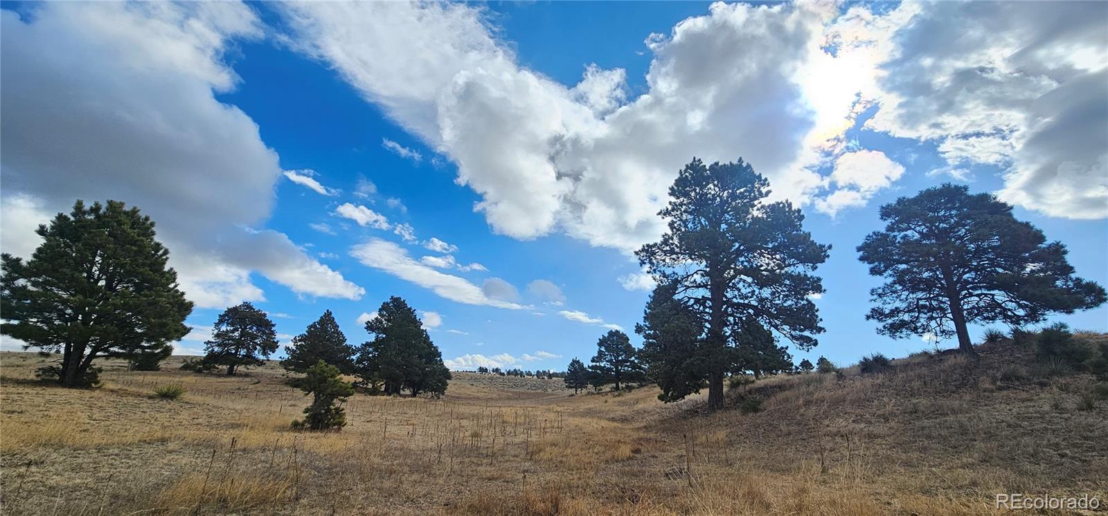 23895 County Road 144 Agate CO 80101