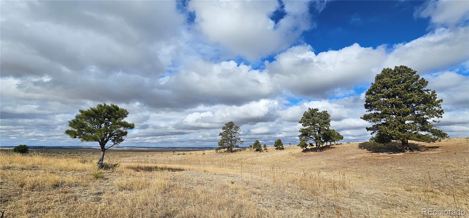23895 County Road 144 Agate CO 80101