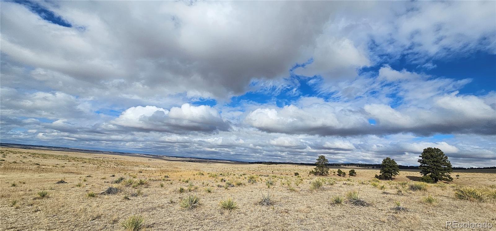 23895 County Road 144 Agate CO 80101