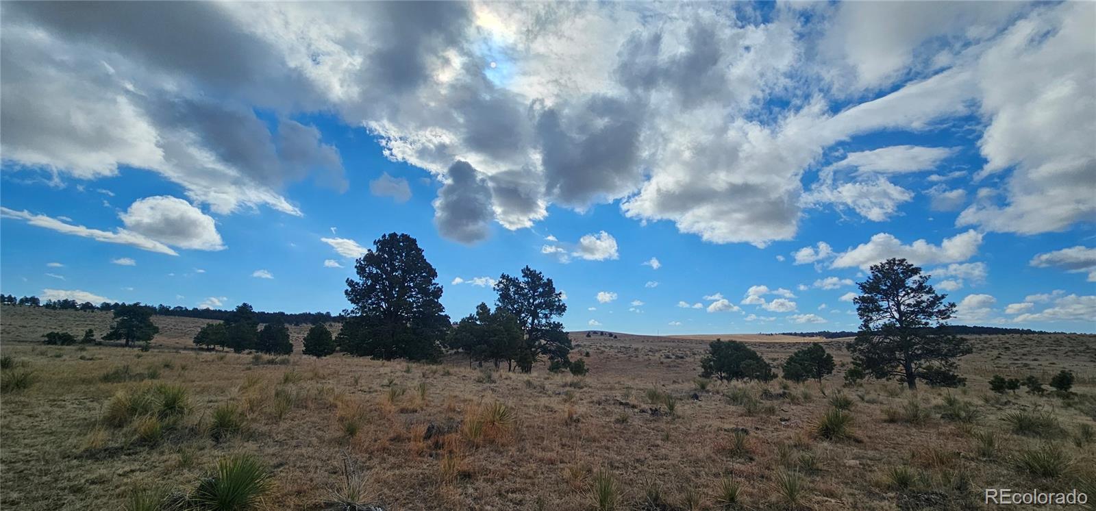 23895 County Road 144 Agate CO 80101