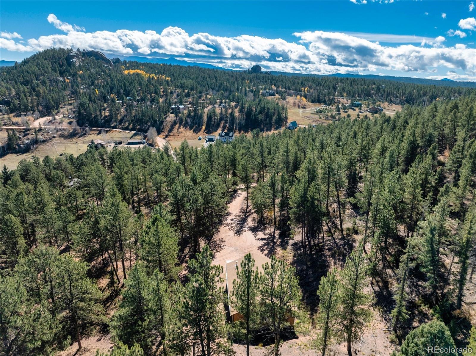 209 Stonehenge Drive Florissant CO 80816