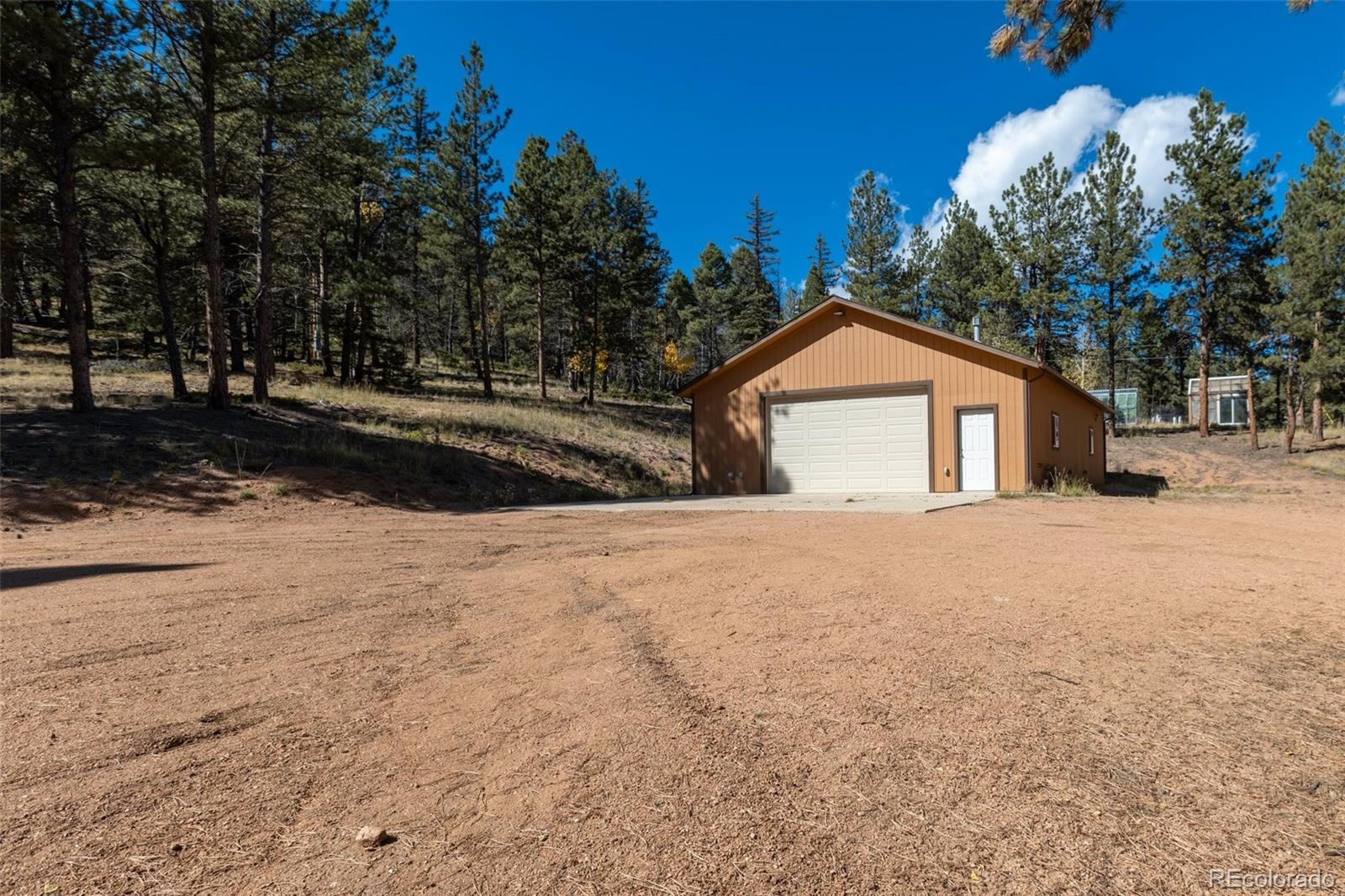 209 Stonehenge Drive Florissant CO 80816