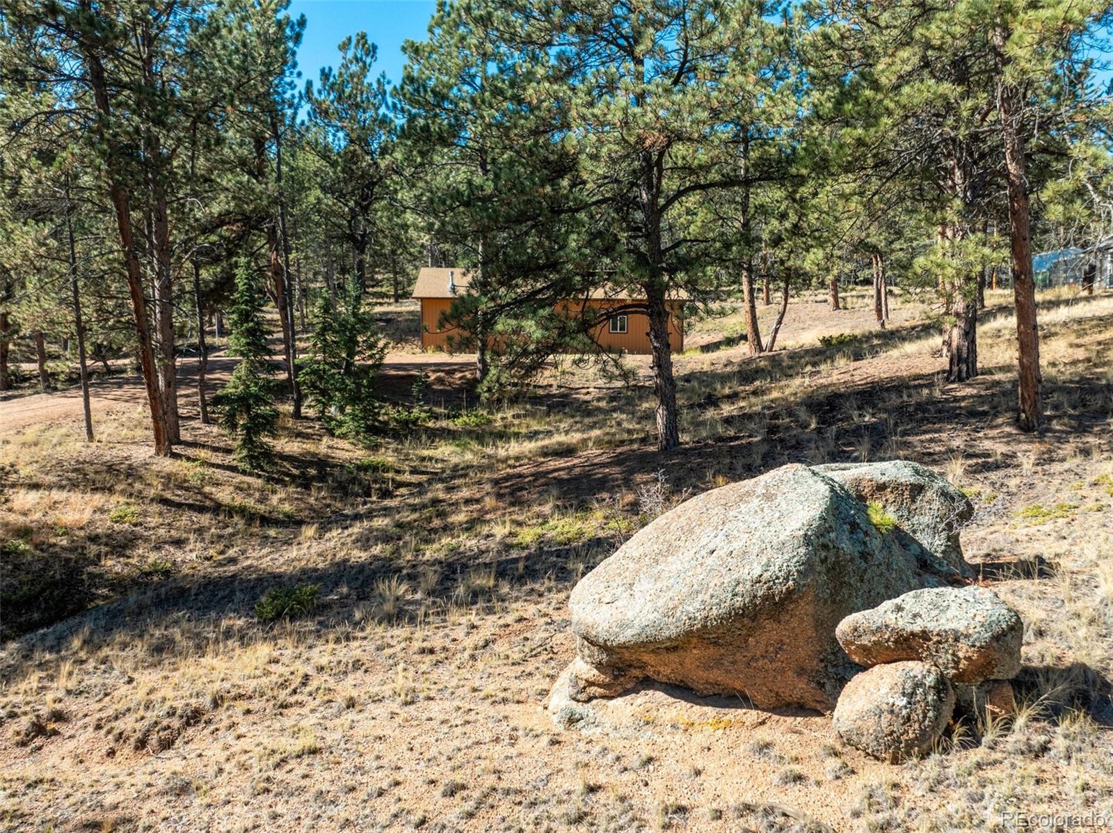 209 Stonehenge Drive Florissant CO 80816
