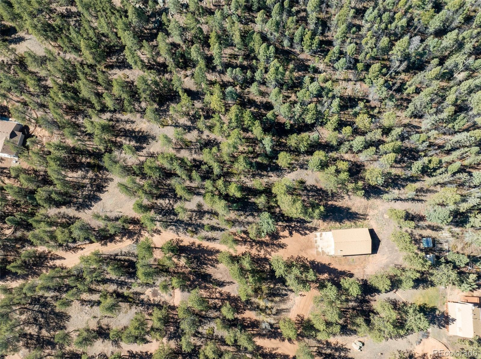 209 Stonehenge Drive Florissant CO 80816