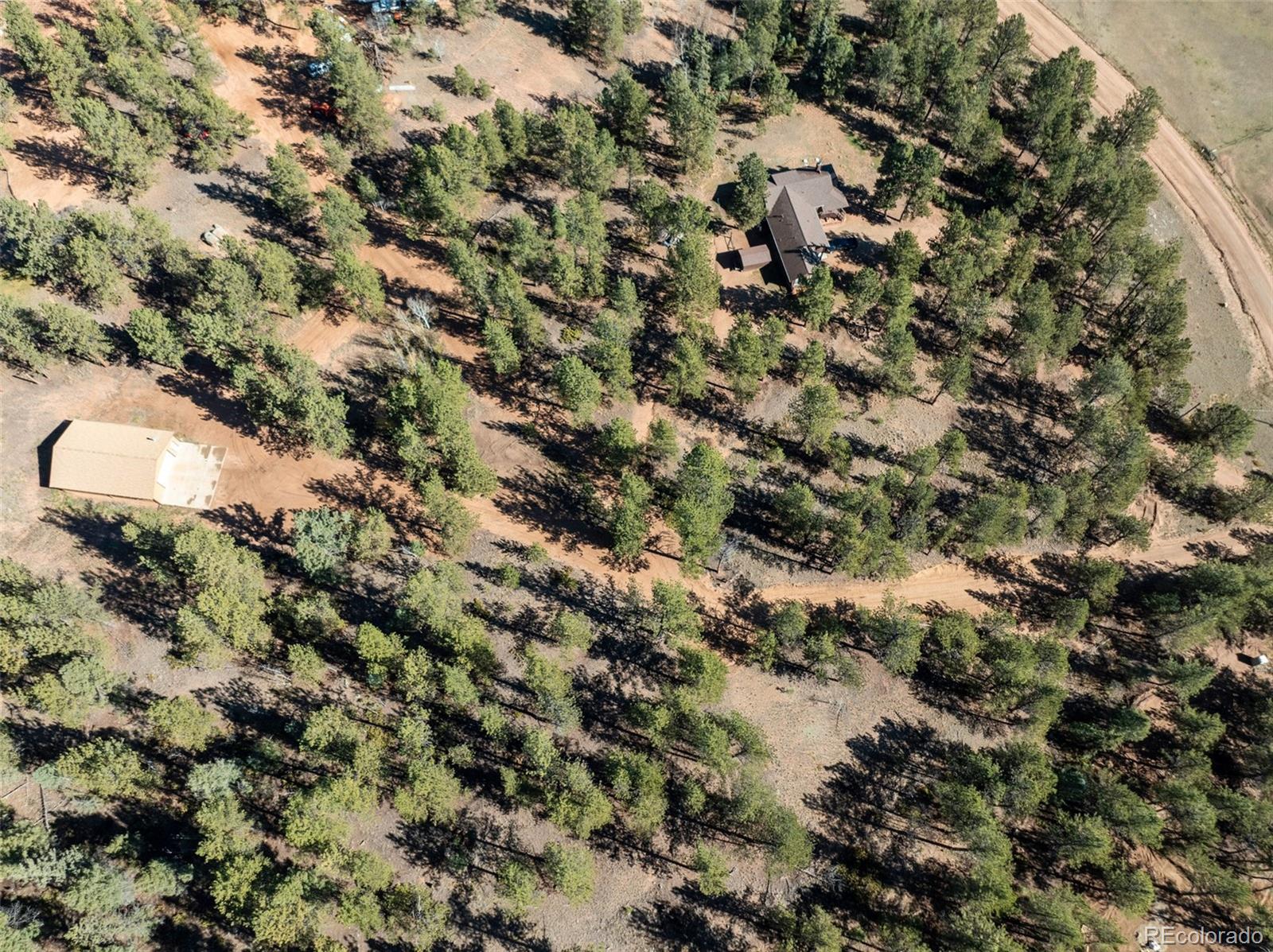 209 Stonehenge Drive Florissant CO 80816