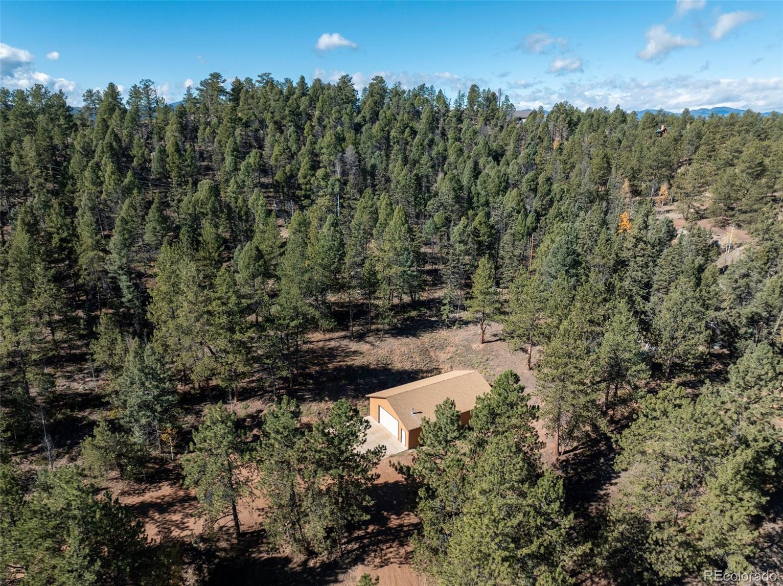 209 Stonehenge Drive Florissant CO 80816