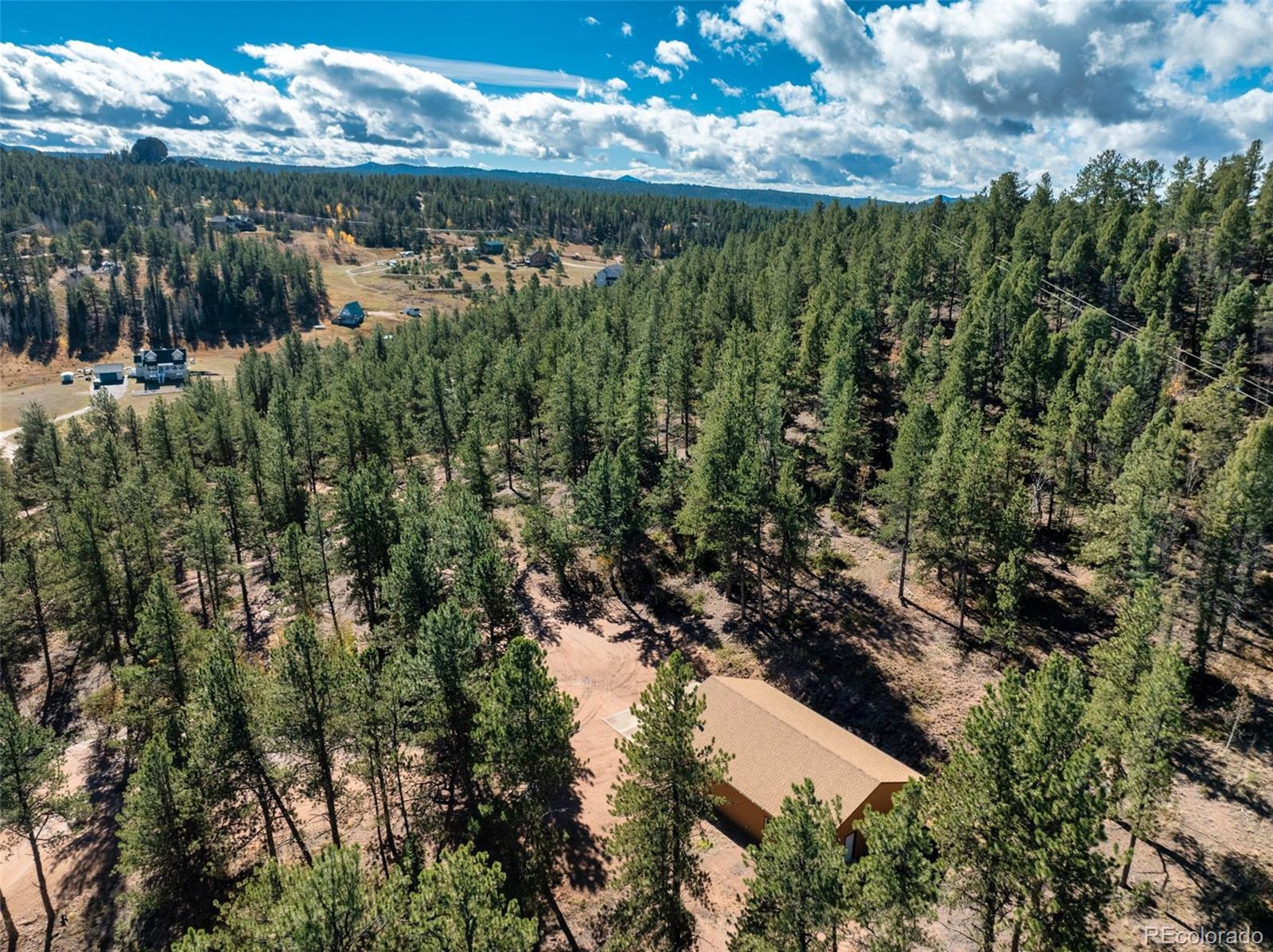 209 Stonehenge Drive Florissant CO 80816