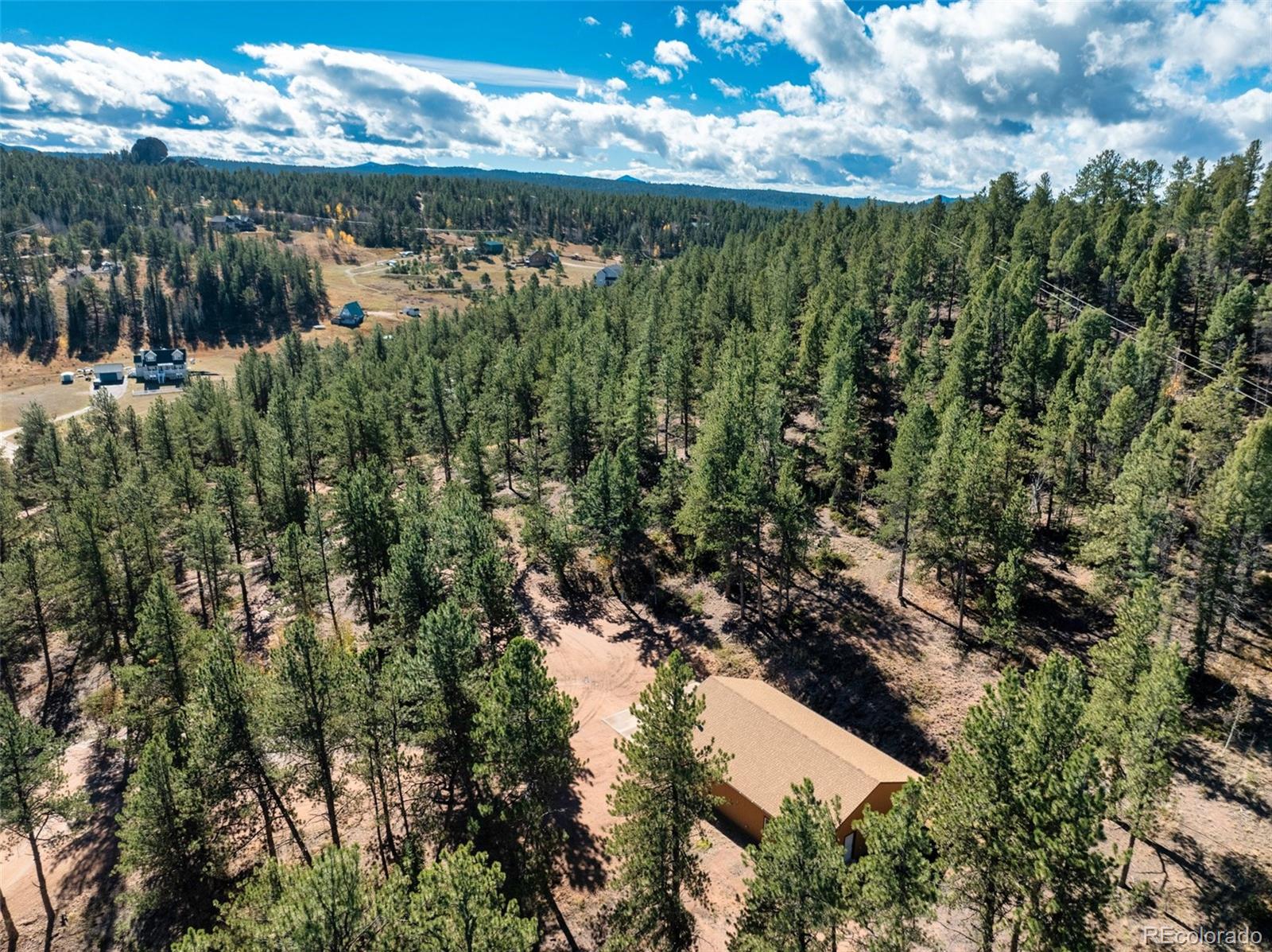 209 Stonehenge Drive Florissant CO 80816