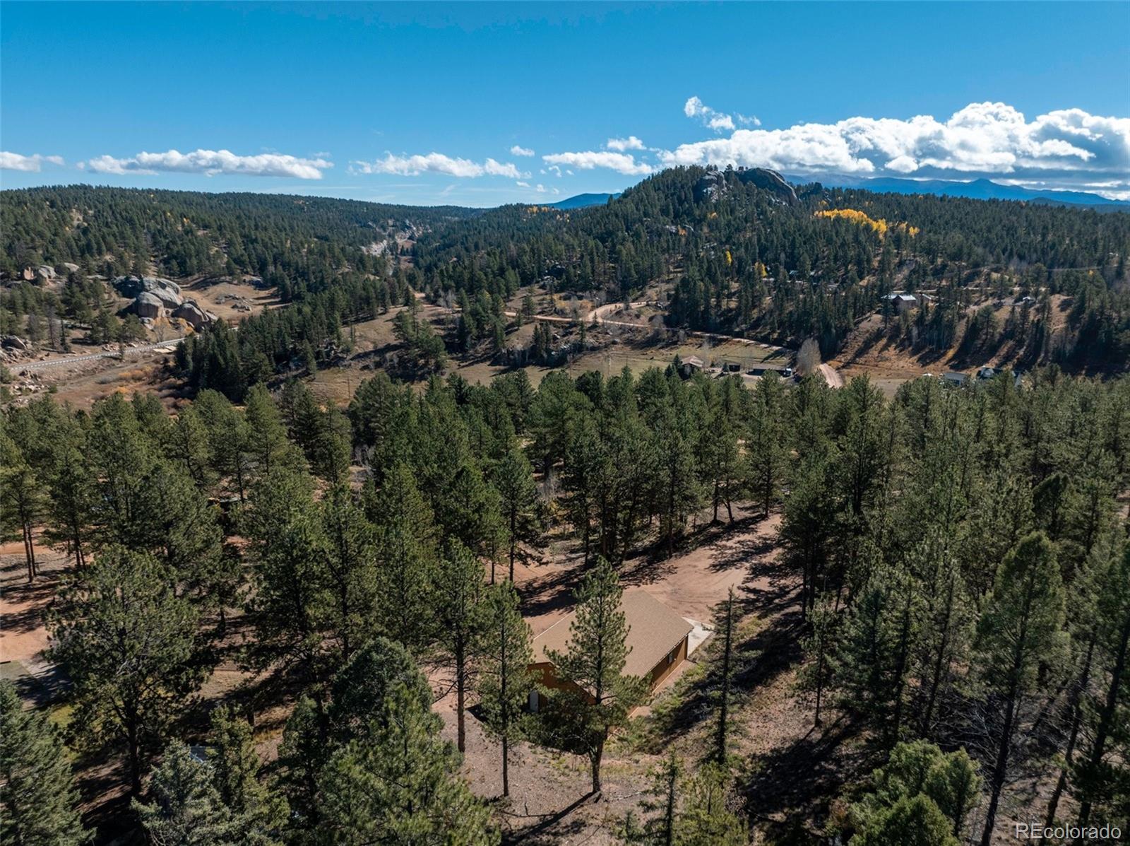 209 Stonehenge Drive Florissant CO 80816