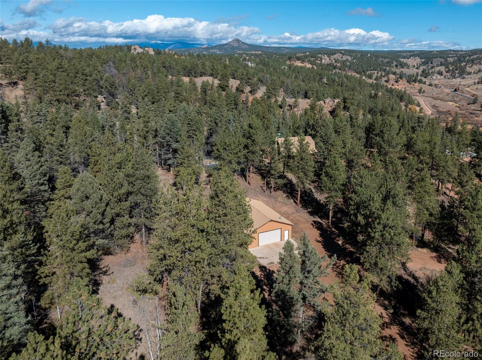 209 Stonehenge Drive Florissant CO 80816