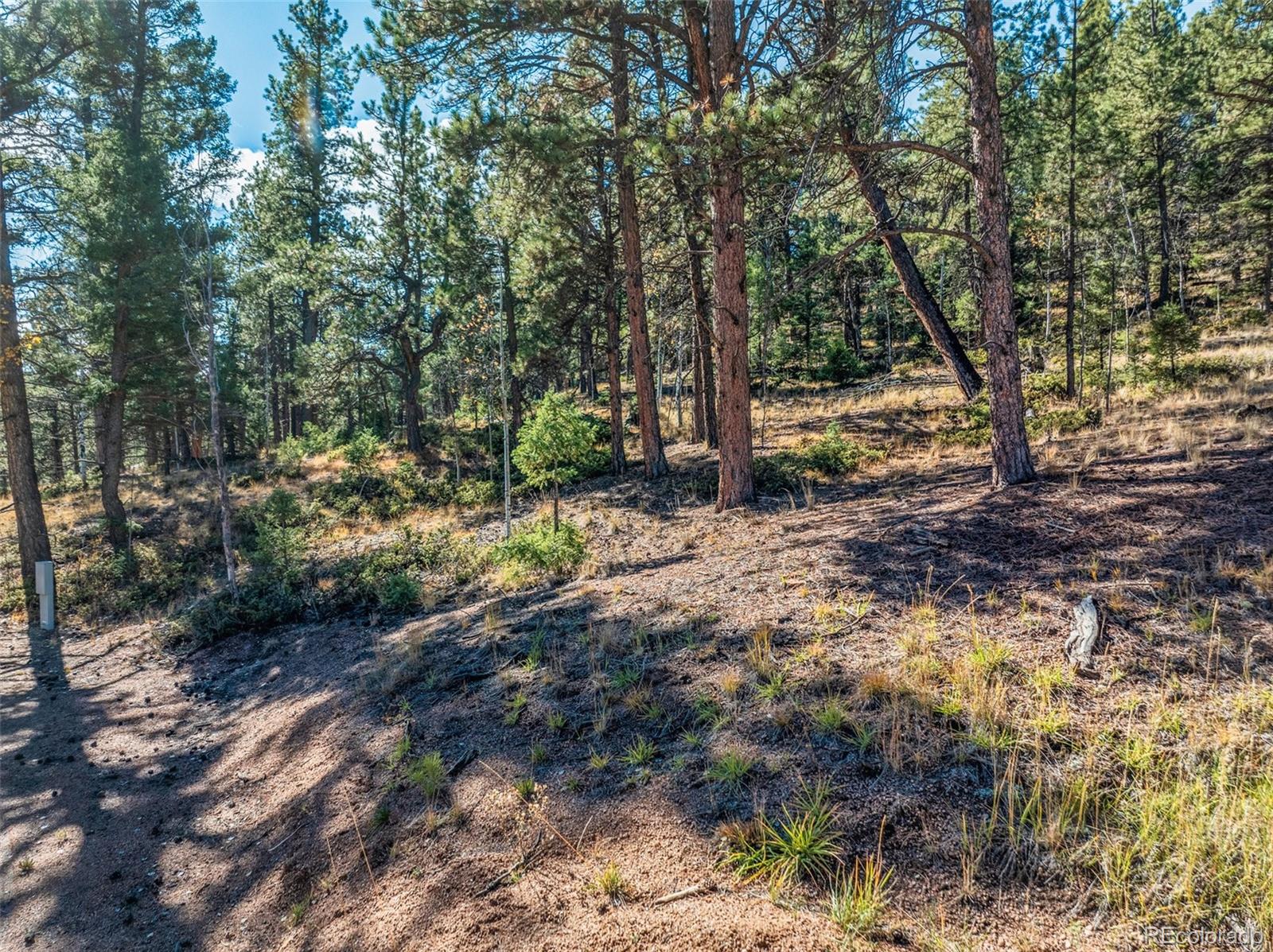 209 Stonehenge Drive Florissant CO 80816
