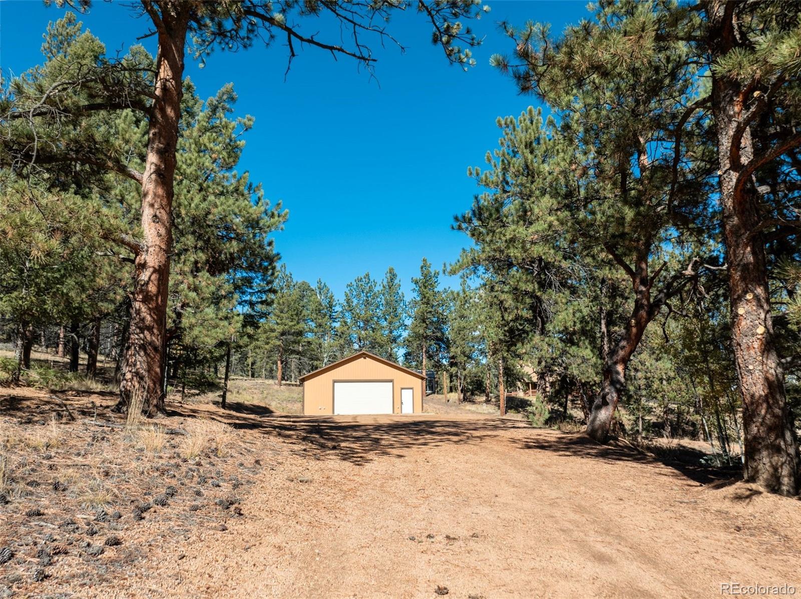 209 Stonehenge Drive Florissant CO 80816