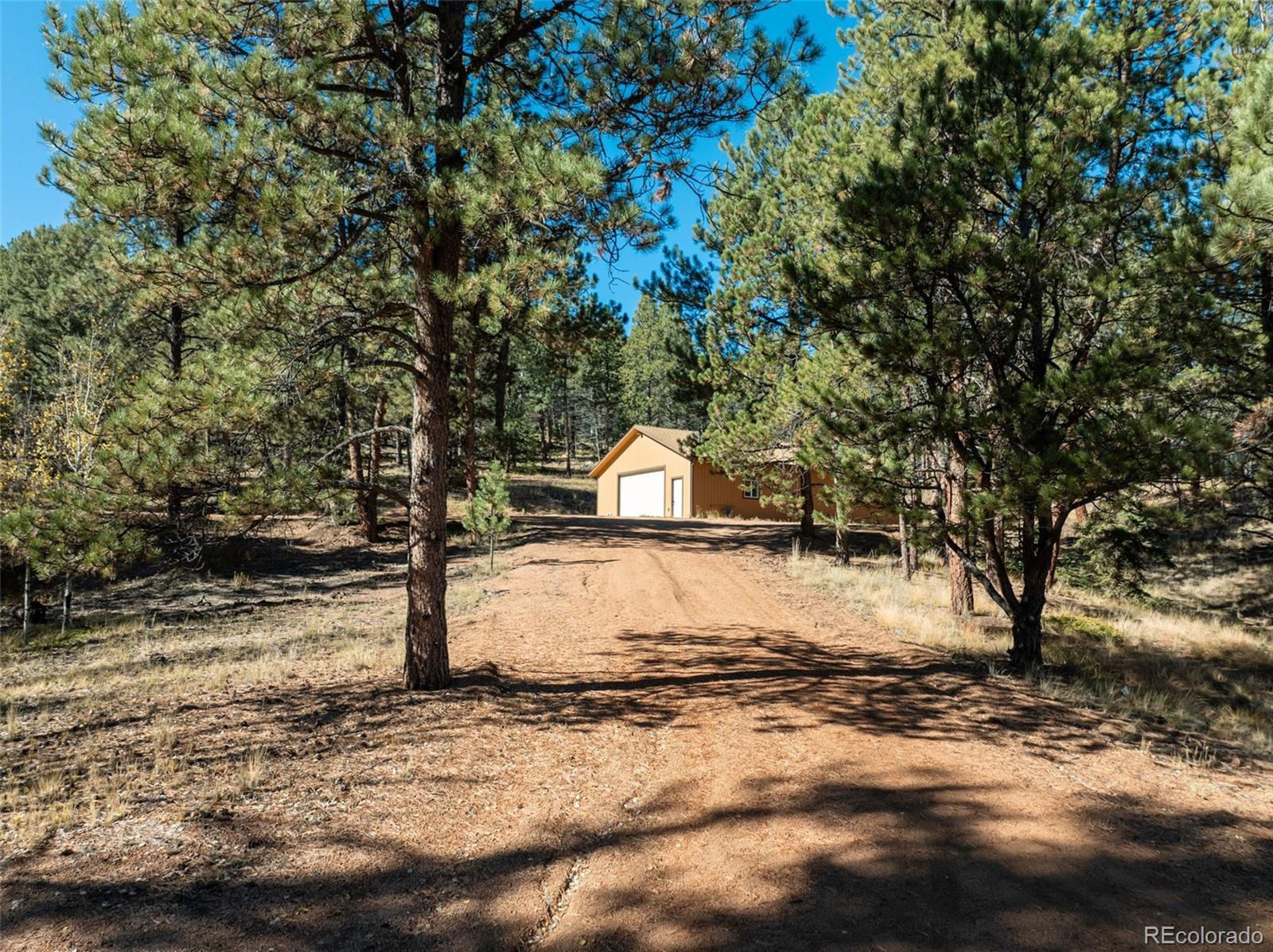 209 Stonehenge Drive Florissant CO 80816