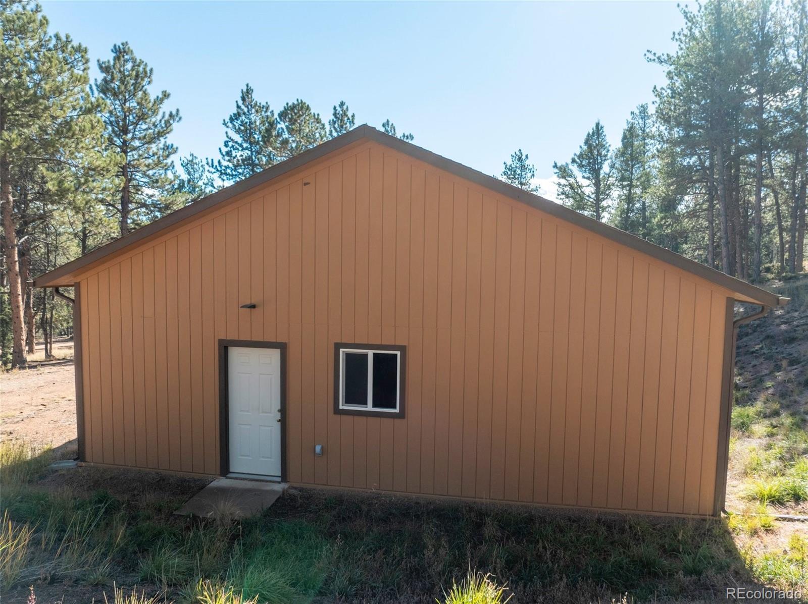 209 Stonehenge Drive Florissant CO 80816
