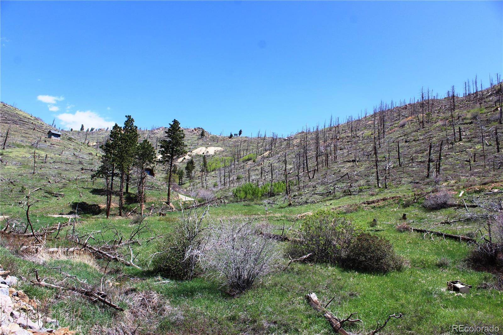 00 County Road 89 Boulder CO 80302