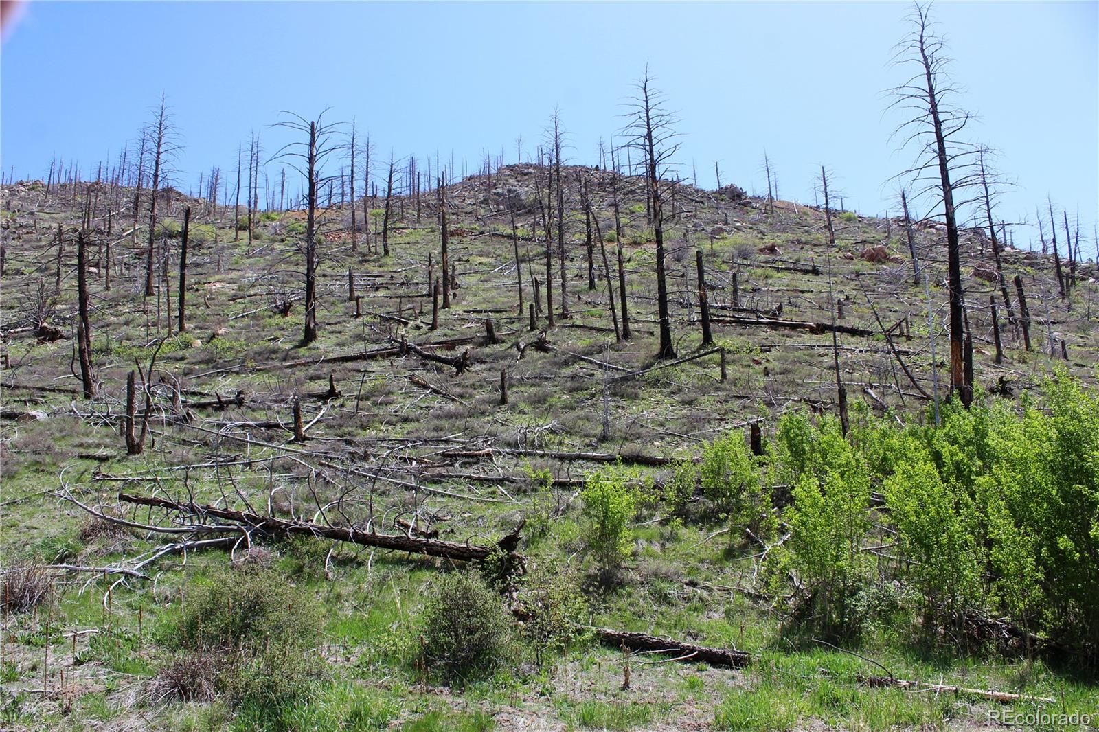 00 County Road 89 Boulder CO 80302