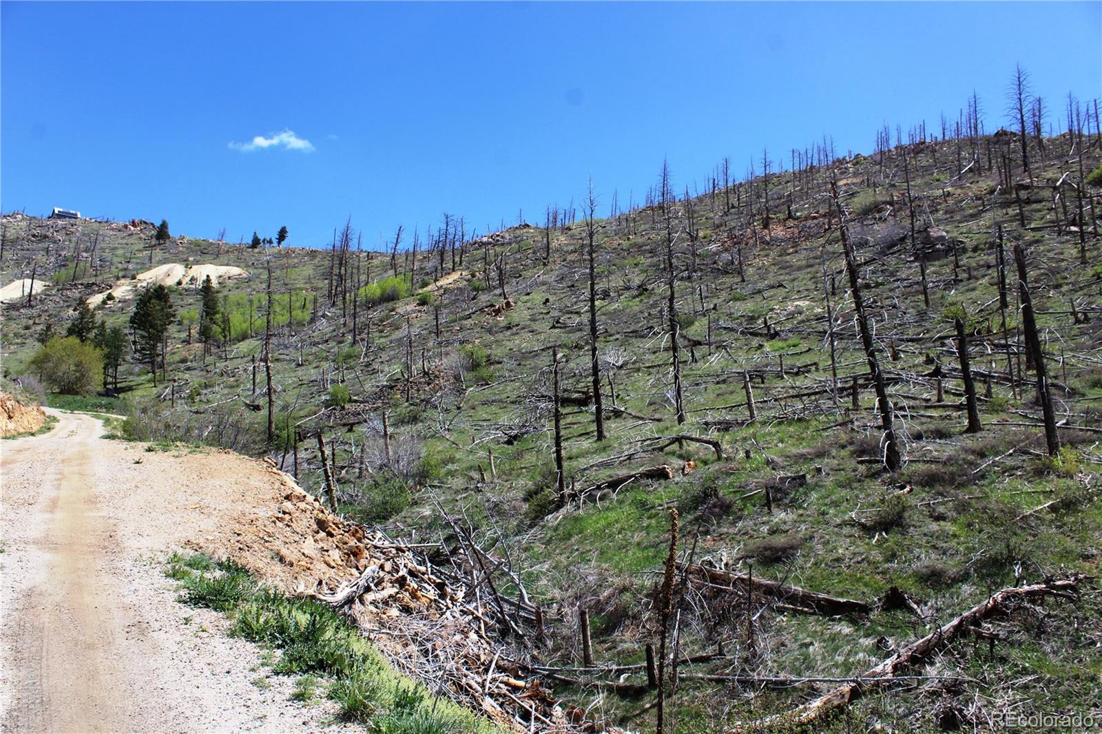 00 County Road 89 Boulder CO 80302