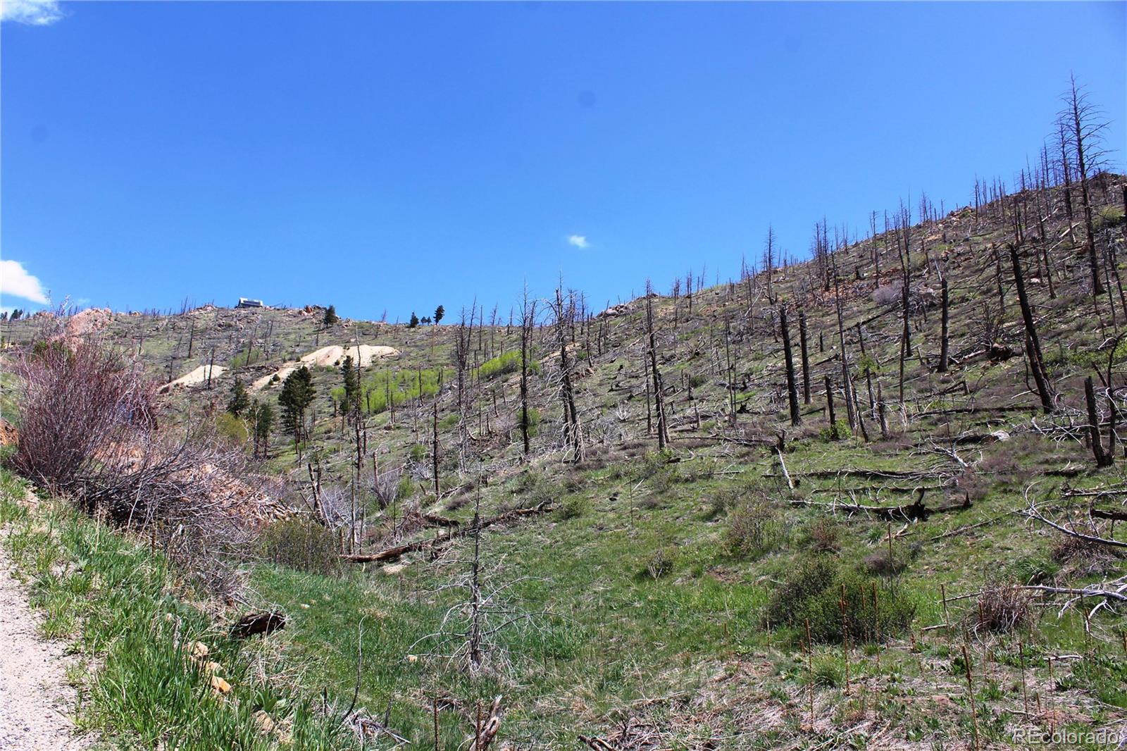 00 County Road 89 Boulder CO 80302