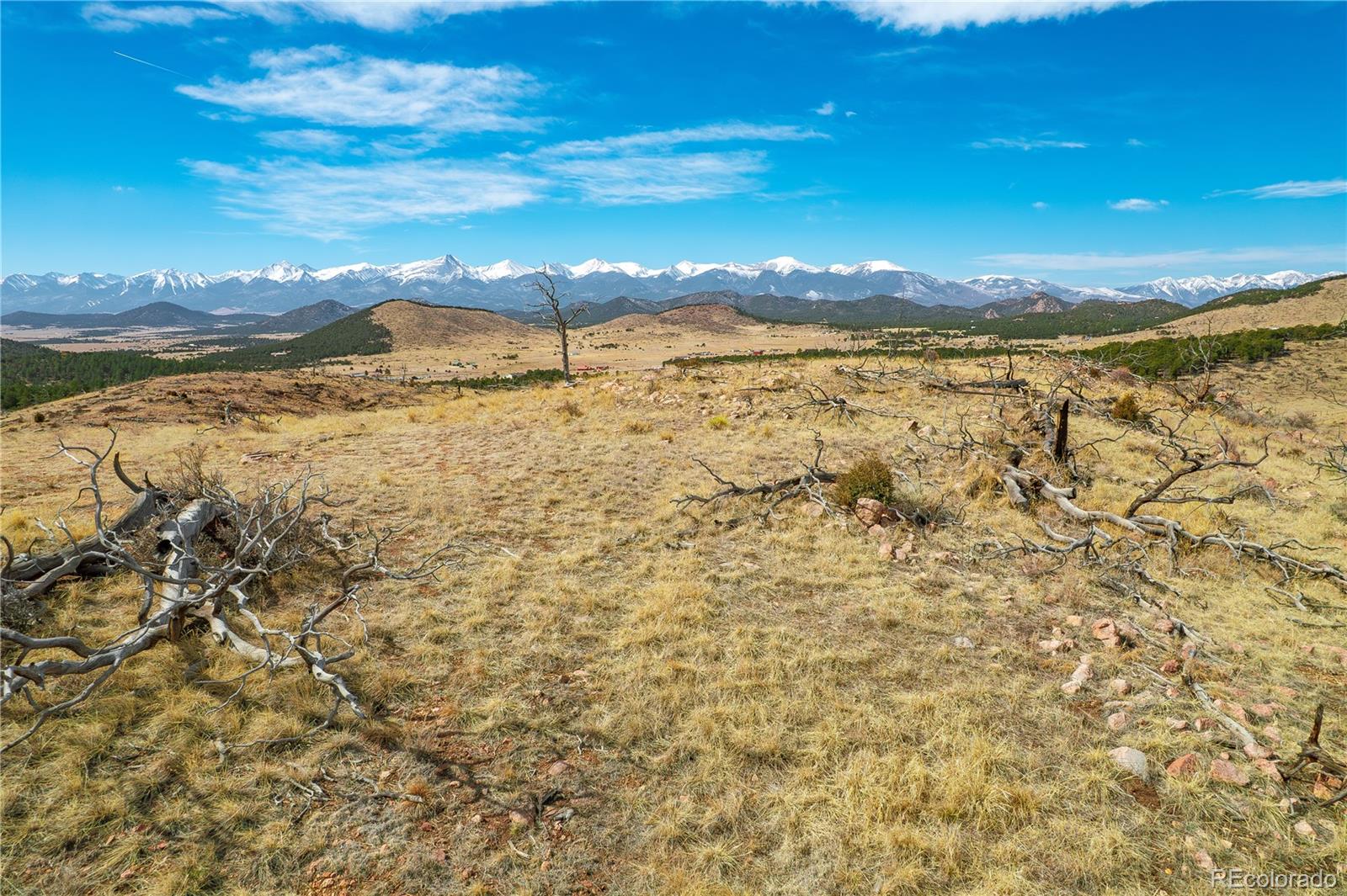 31ST Trail Cotopaxi CO 81223