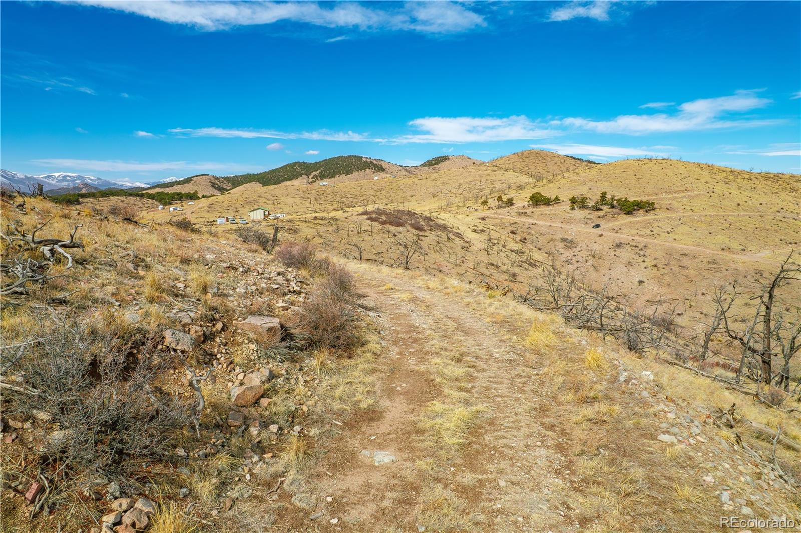 31ST Trail Cotopaxi CO 81223