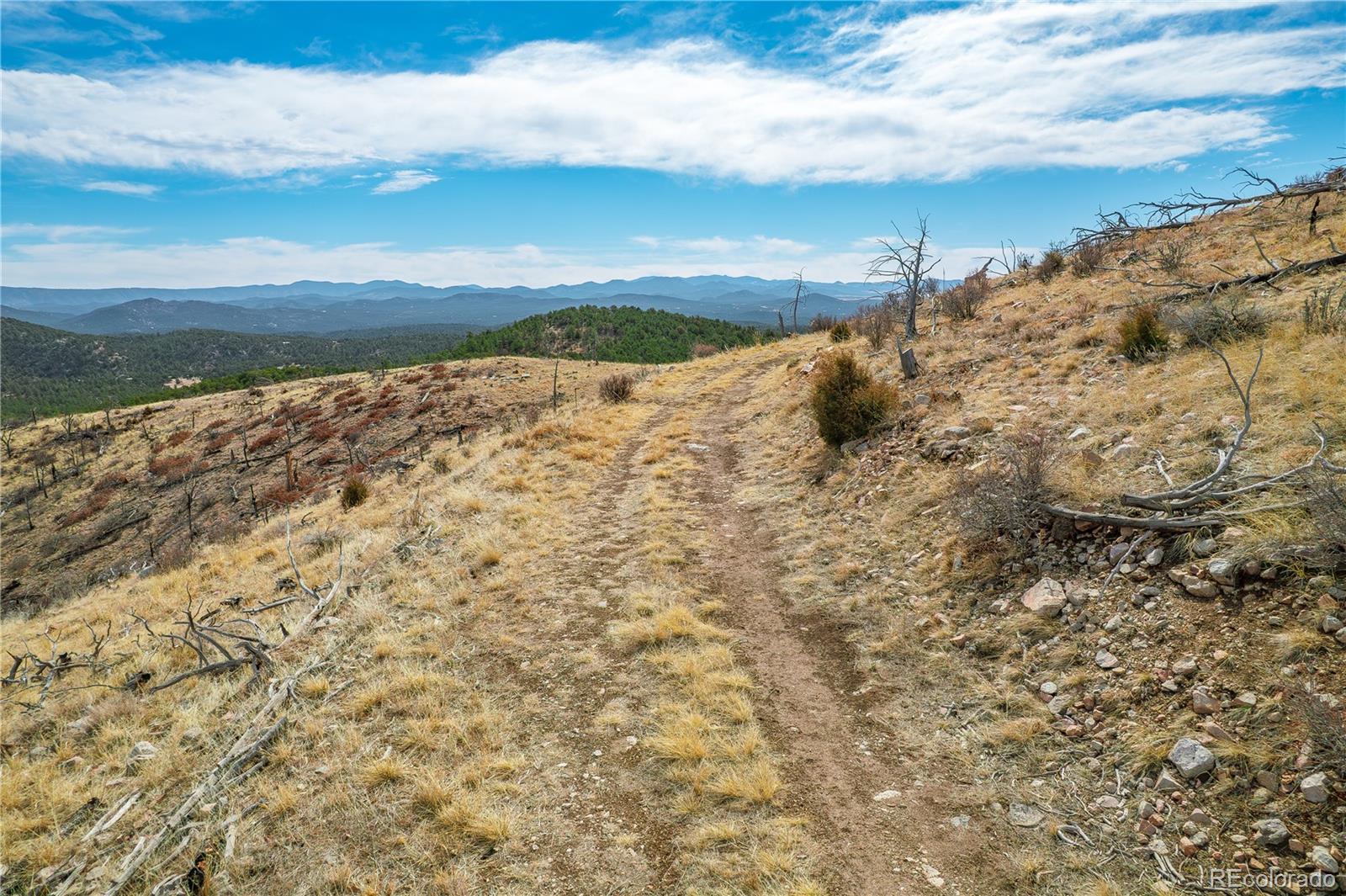 31ST Trail Cotopaxi CO 81223