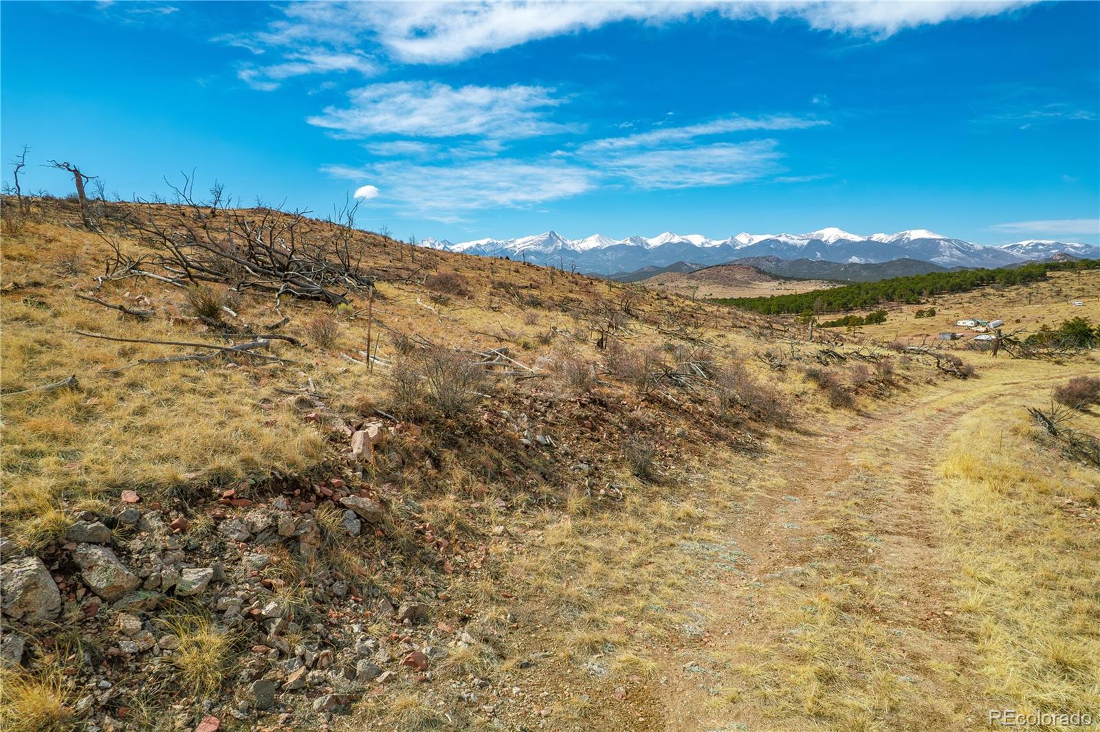 31ST Trail Cotopaxi CO 81223