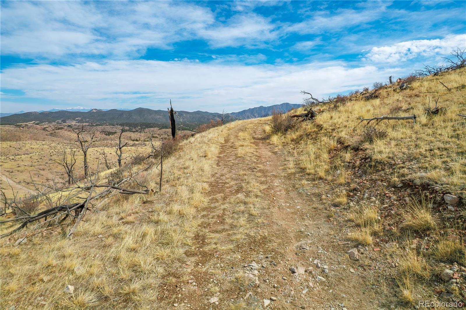 31ST Trail Cotopaxi CO 81223