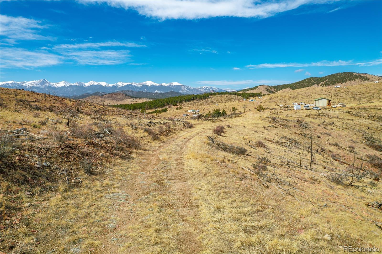 31ST Trail Cotopaxi CO 81223