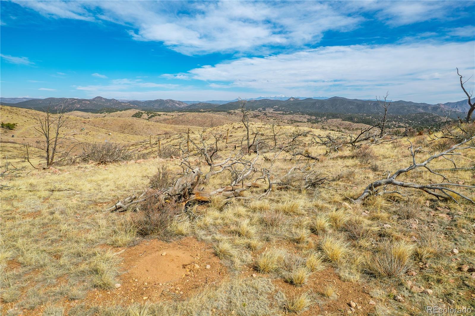 31ST Trail Cotopaxi CO 81223