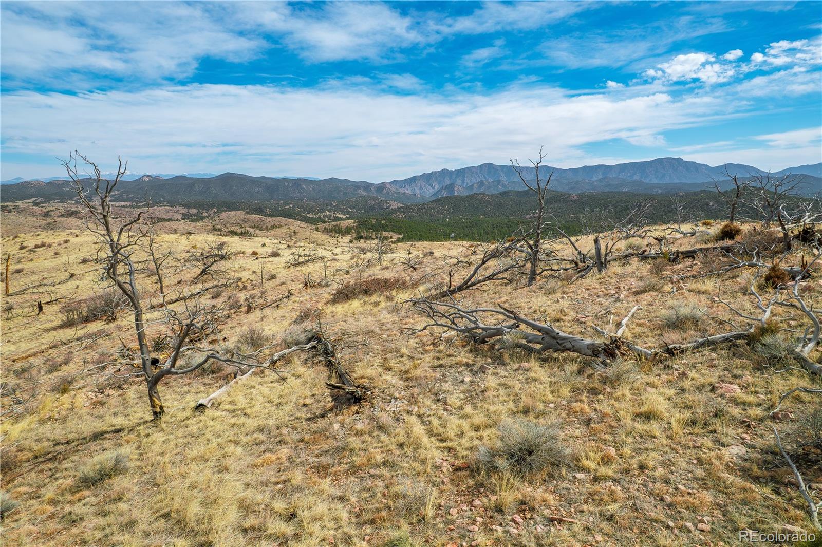 31ST Trail Cotopaxi CO 81223