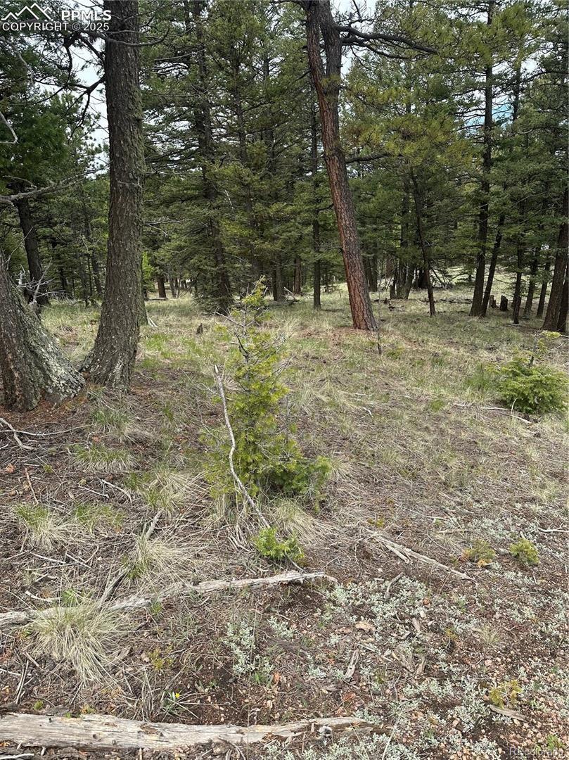 1120/1086 N Mountain Estates Road Florissant CO 80816