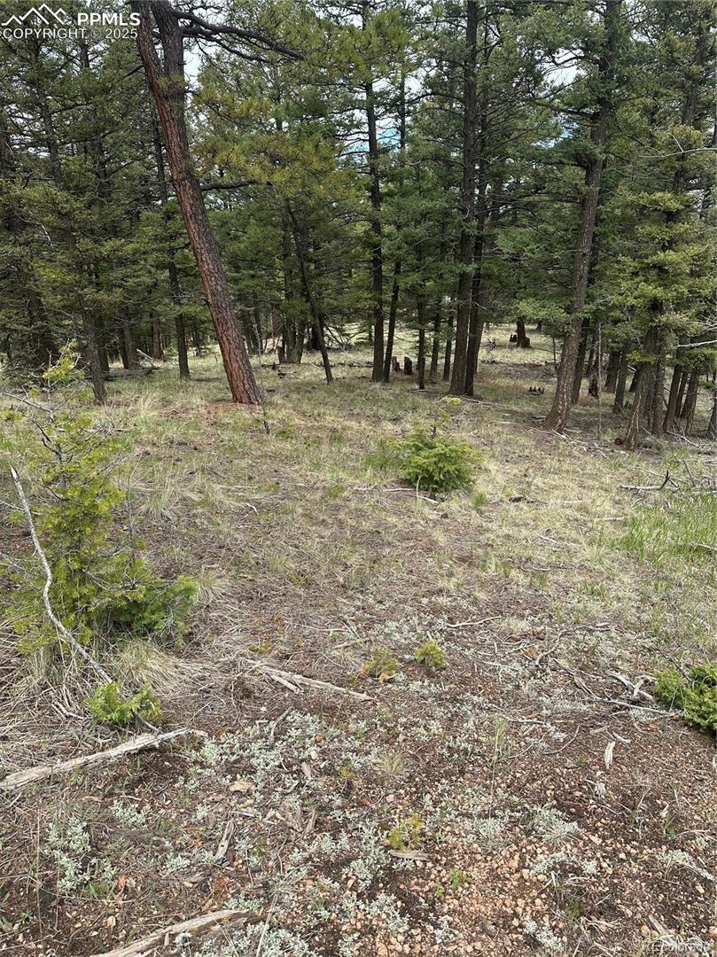 1120/1086 N Mountain Estates Road Florissant CO 80816