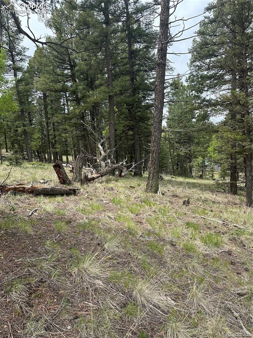 1120/1086 N Mountain Estates Road Florissant CO 80816