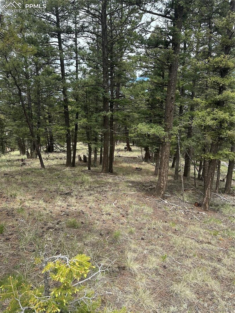 1120/1086 N Mountain Estates Road Florissant CO 80816