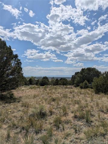 3213 Enchanted Court Crestone CO 81131
