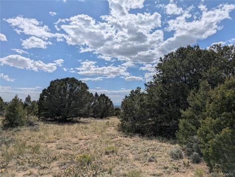 3213 Enchanted Court Crestone CO 81131