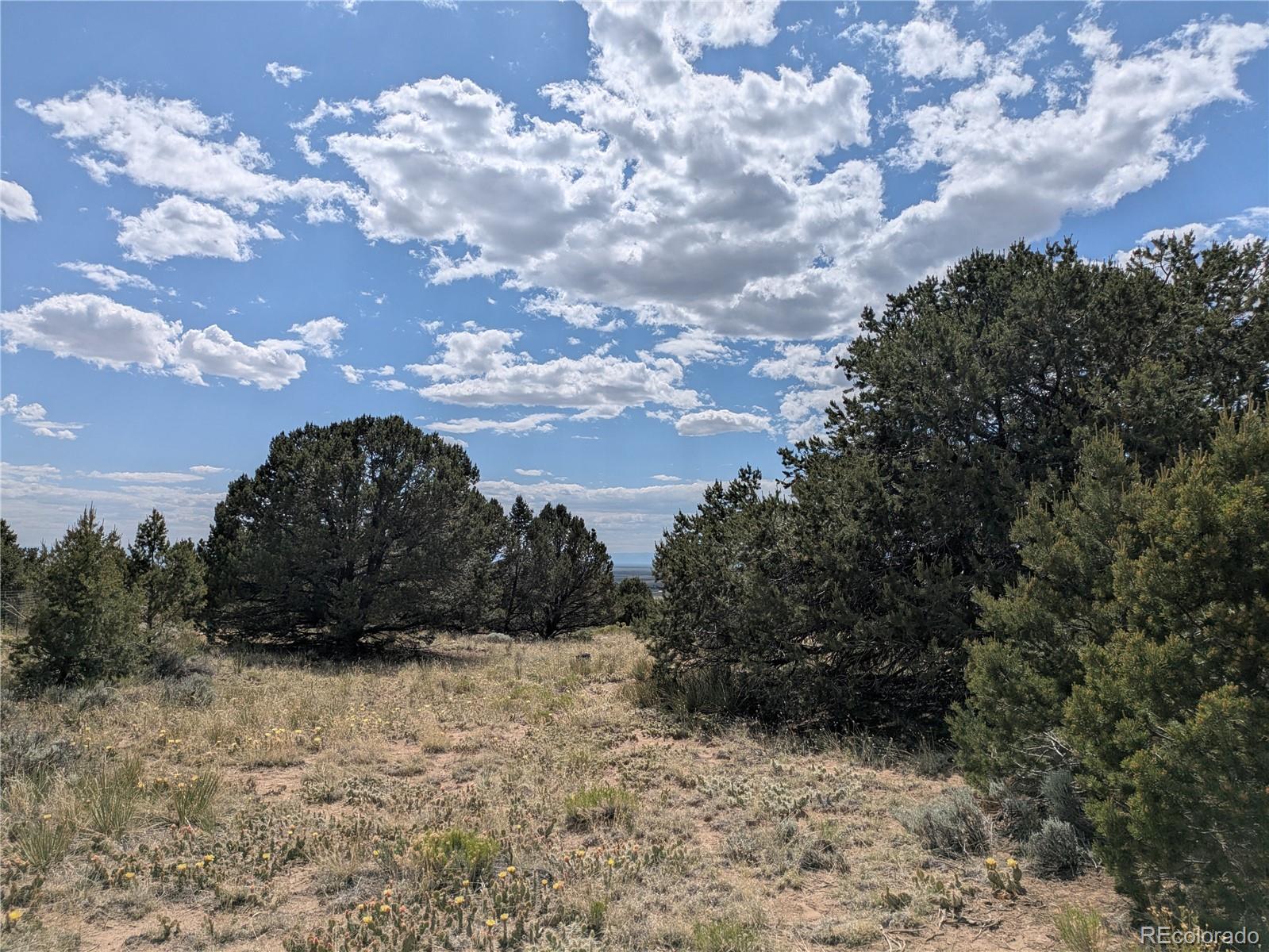 3213 Enchanted Court Crestone CO 81131