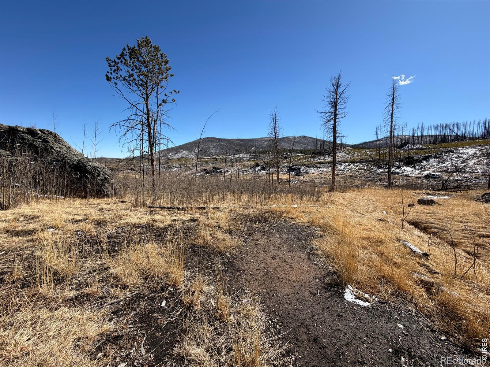 28 Agate Court Bellvue CO 80512