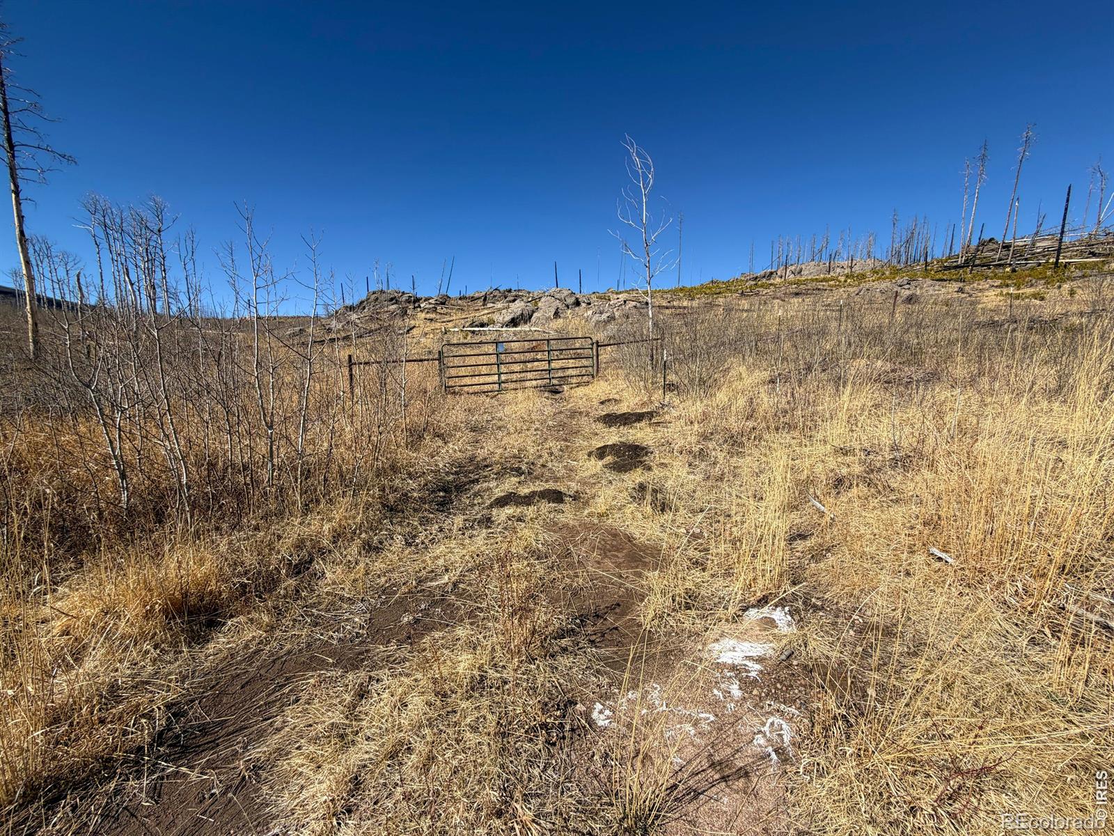 28 Agate Court Bellvue CO 80512