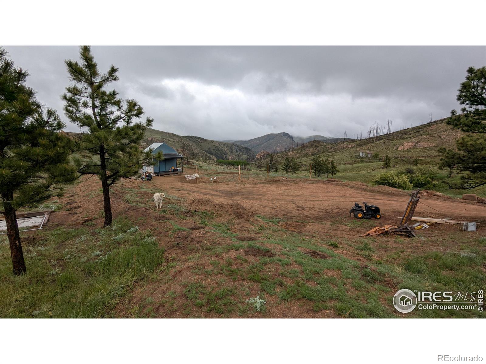 42 Smokey Mountain Court Livermore CO 80536