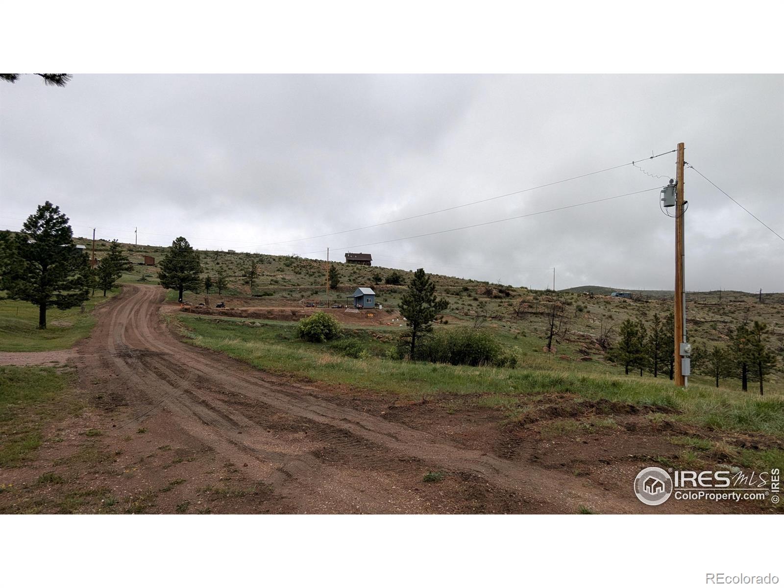 42 Smokey Mountain Court Livermore CO 80536