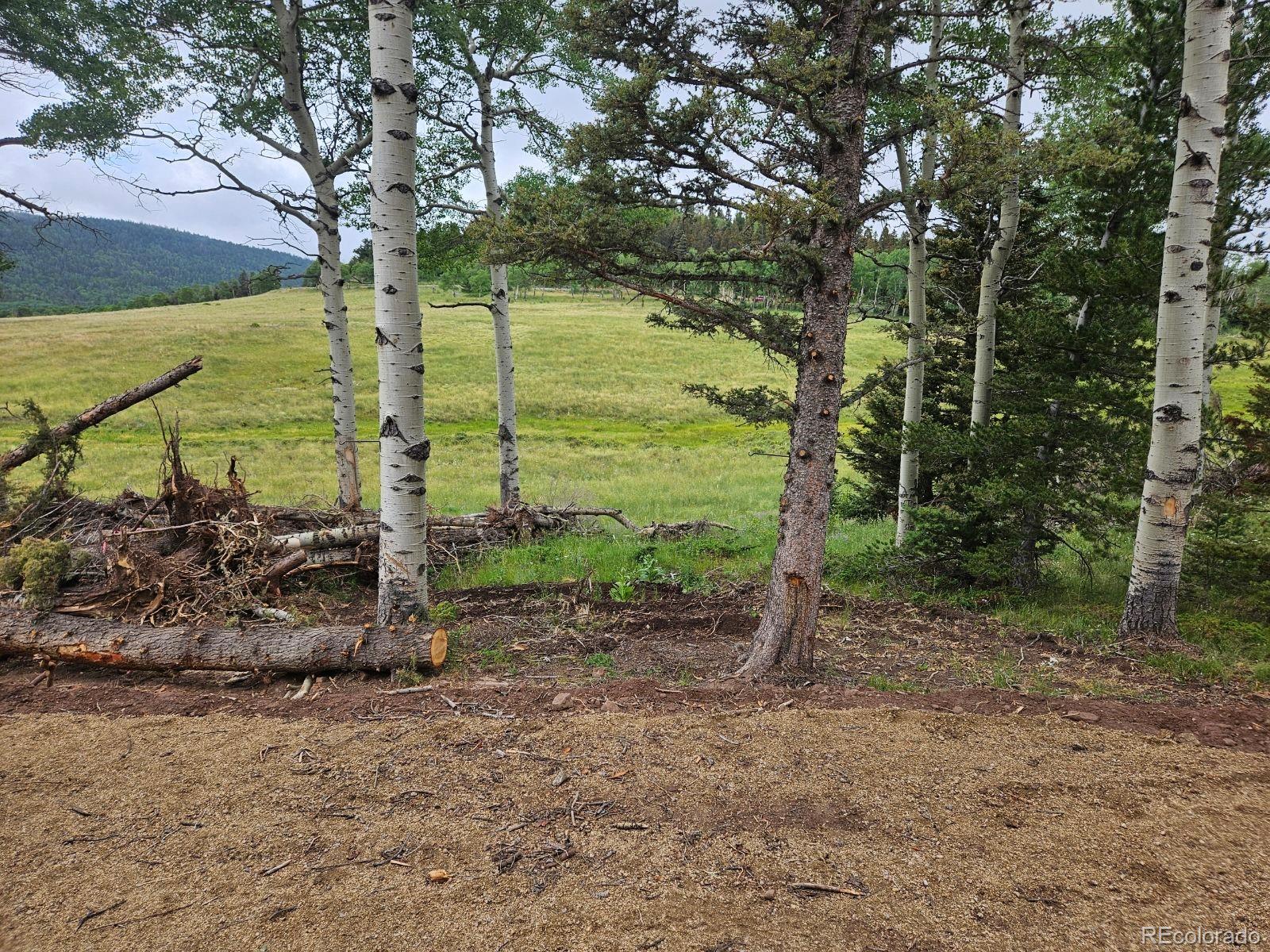 Lot 2841 Wendt Lane Fort Garland CO 81133