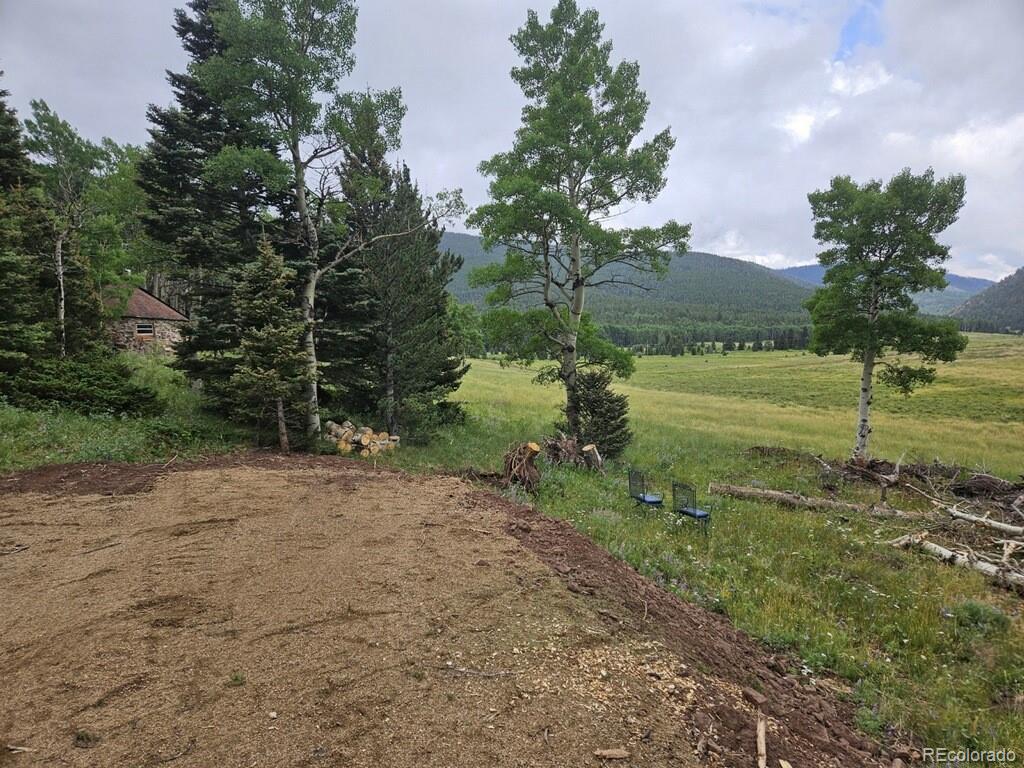 Lot 2841 Wendt Lane Fort Garland CO 81133